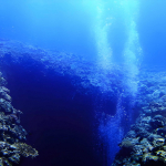 Fondale oceanico si separa: osservata la nascita della nuova crosta